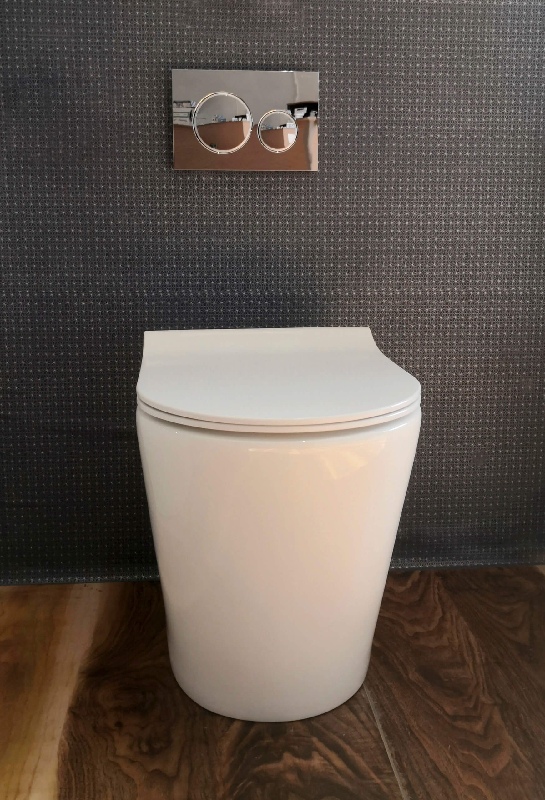 In-wall Toilet Systems